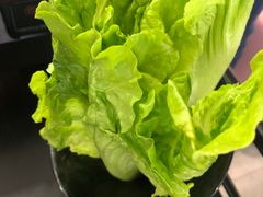 -蛙太牛牛肉海鲜自助火锅(台江万达店)