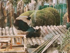 -大连森林动物园