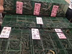 -荔城生鲜盛宴(番禺旗舰店)