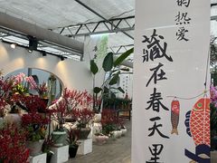 -荷兰花海