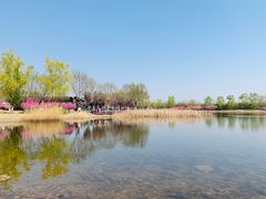 -永定河休闲森林公园