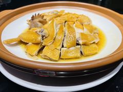 -金汇酒楼(中山东区店)