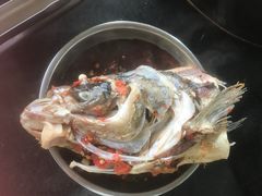 -老杨砂锅鱼庄
