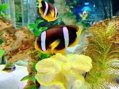 -太平洋海底世界