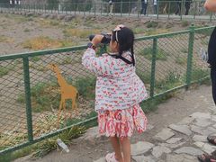 -新疆天山野生动物园