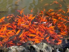 -刘伯温故里景区百丈漈