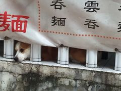 -小梁哥云吞面(黄贝岭店)