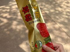 -广州长隆欢乐世界