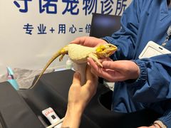 -守诺宠物医院·眼科· 特色牙科·异宠专科(虹口店)