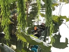 -北海公园-停车场