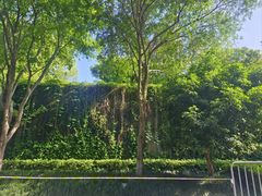 -中国湿地博物馆