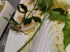 大白菜-海底捞火锅(金光华店)