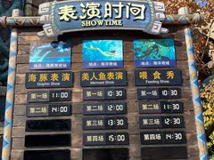 -哈尔滨波塞冬海底世界