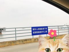 -长兴对江渡客运站