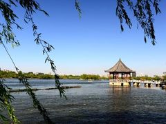 -济南大明湖景区