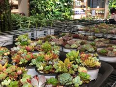 -鹿岛会员店 (龙湖三千集天街店)