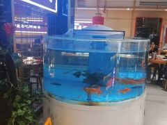 -辣得叫湘菜(四明店)