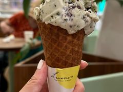 紫苏 - 巧克力碎-LUNEURS月乐诗 冰淇淋咖啡(环贸店)