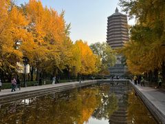 -玲珑塔公园