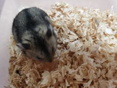 -龙猫仔乐园(惠福东路店)