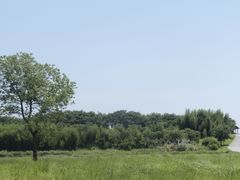 -良渚古城遗址公园