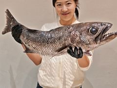 -镹·鱼料理  国产鱼使用店