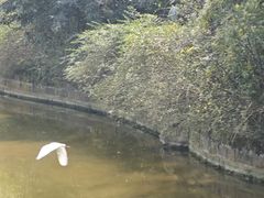 -龙头寺公园