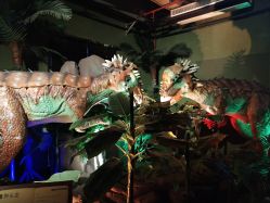 -恐龙探索乐园(磁器口店)