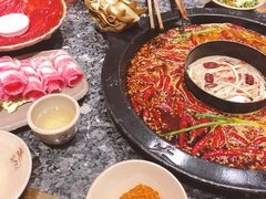 -蜀大侠火锅(建设路第五大道店)