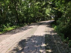 -紫金山天文台