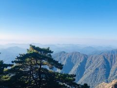 -青枫公园