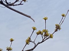 -西安世博园