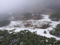 -苍山感通索道
