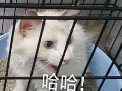 -科道动物医院·急重症中心(万达院)