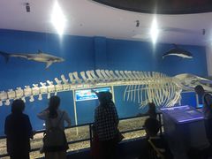 -福州罗源湾海洋世界旅游区