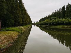 -黄海国家森林公园