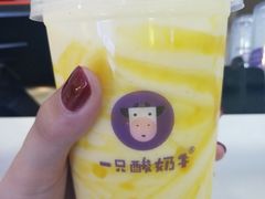 -一只酸奶牛(时代天街A馆店)