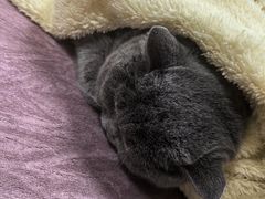 -动物缘宠物医院·骨科·猫科(西二环店)