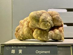 -中国地质博物馆
