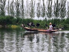 -白洋淀景区