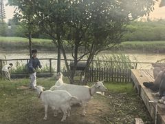 -天目湖涵田度假村