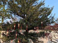 -东山雕花楼