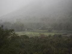 -开平碉楼文化旅游区马降龙景区
