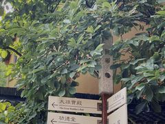 -龙华寺
