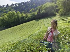 -敬亭山风景名胜区