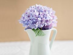 -臻江南影院式足道(雅安店)