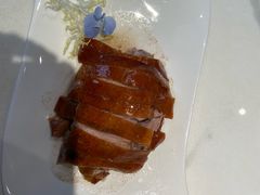 -新雅粤菜馆(南京东路店)