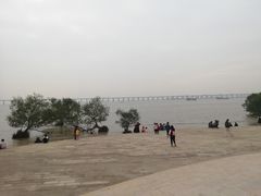 -宝安西湾红树林湿地公园