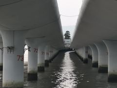 -演武大桥观景平台