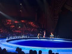 -珠海横琴长隆《卡卡虎奇遇记》